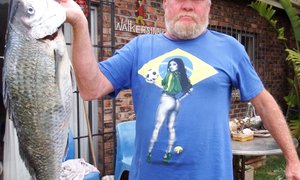 Bielie Plaat Steenbras 